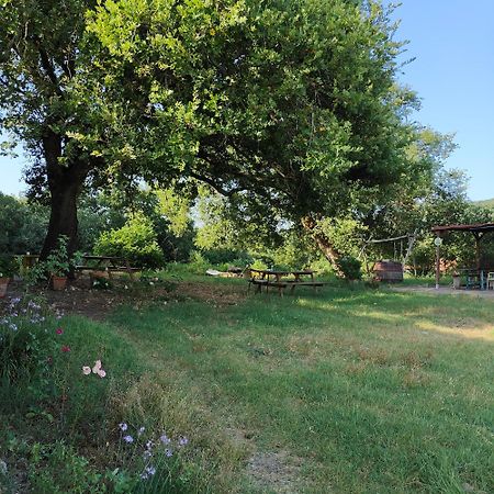 Agriturismo Il Casalino Pari Exteriör bild