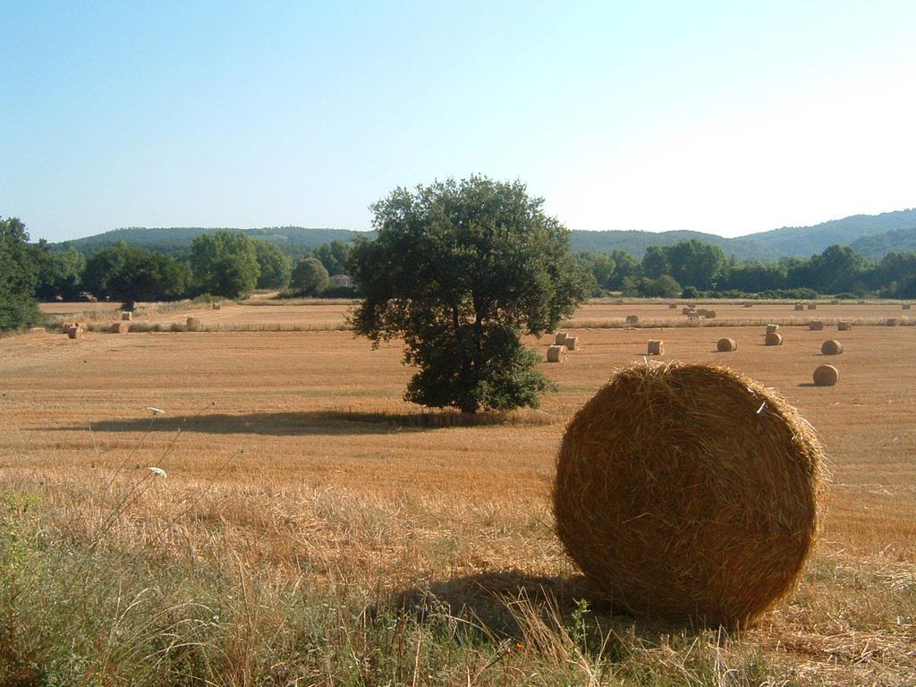 Agriturismo Il Casalino Pari Exteriör bild
