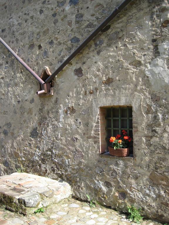 Agriturismo Il Casalino Pari Exteriör bild