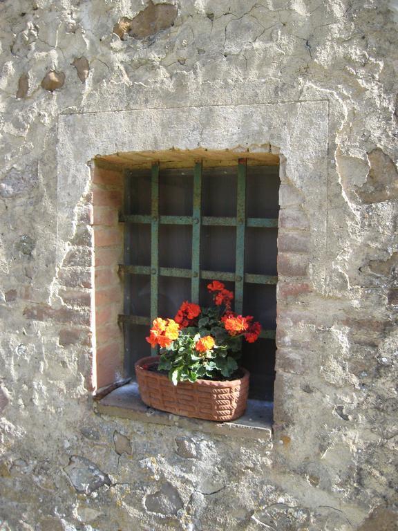 Agriturismo Il Casalino Pari Exteriör bild