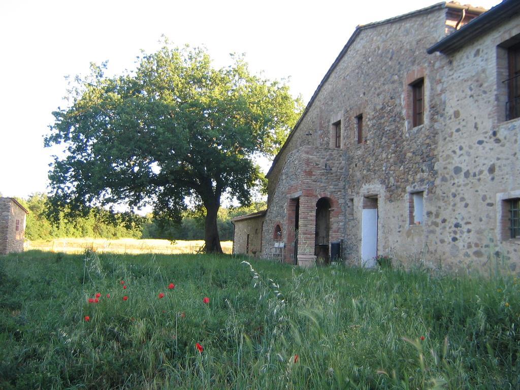 Agriturismo Il Casalino Pari Exteriör bild