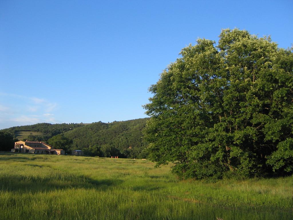 Agriturismo Il Casalino Pari Exteriör bild