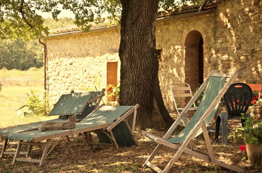 Agriturismo Il Casalino Pari Exteriör bild